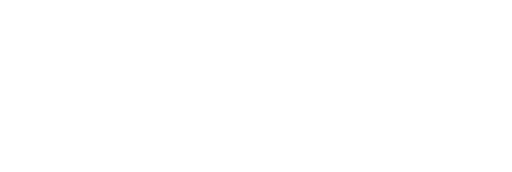 AcorNovus IT